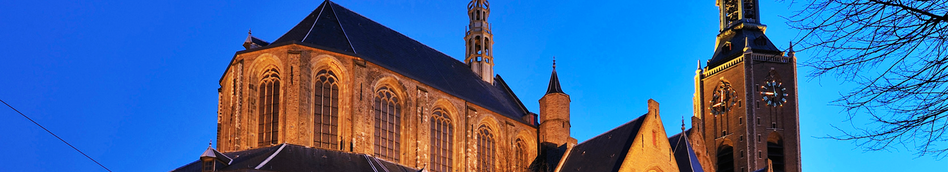 Stichting Orgelconcerten Grote Kerk Den Haag